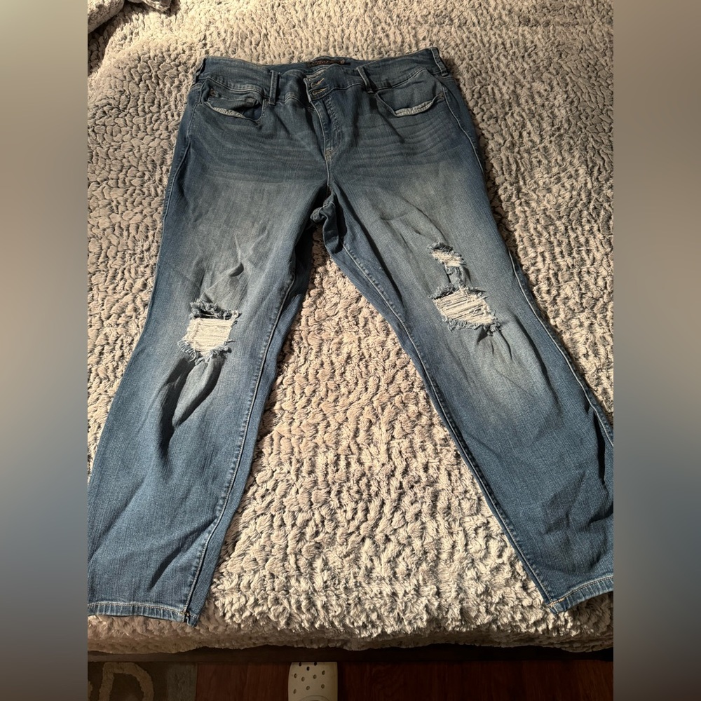 Torrid Plus Size Jeans